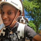 myvoltaire myvoltaire